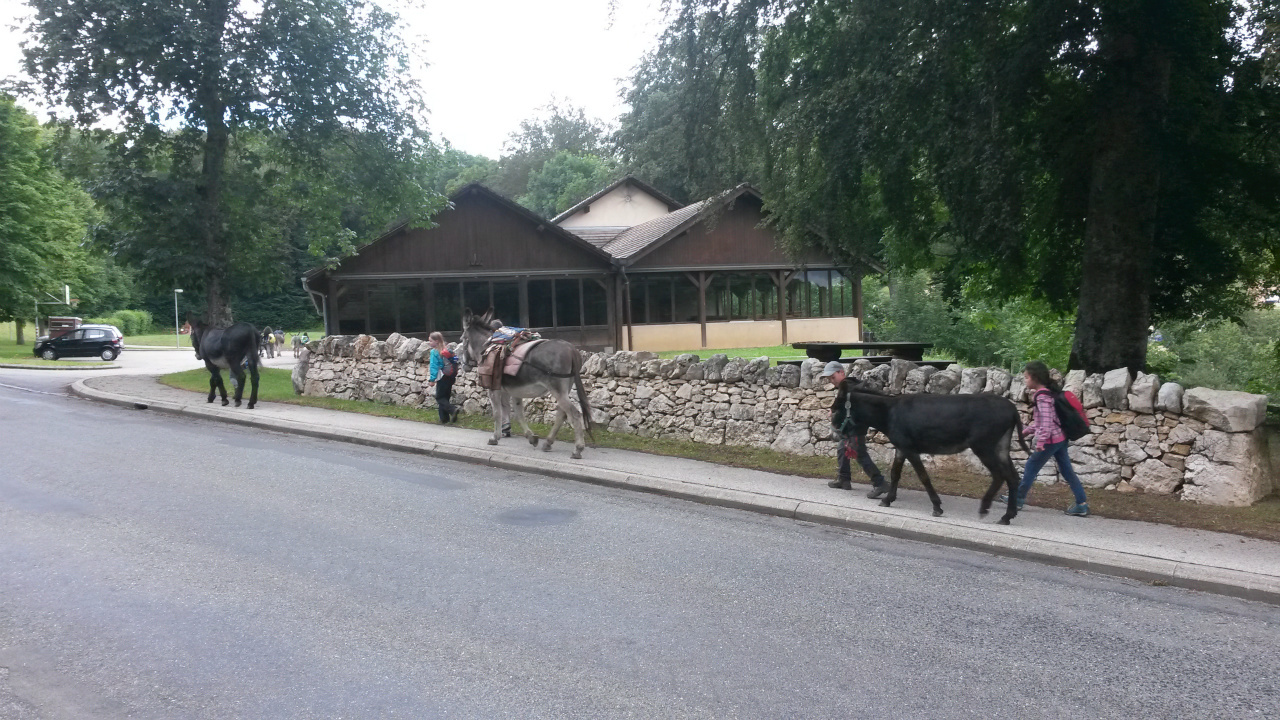 arrivée des ânes à Champbaillard.