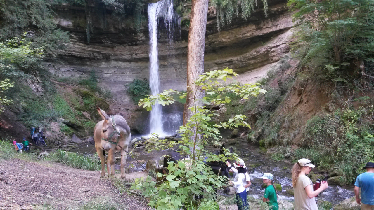 On apprécie la fraicheur de la cascade.