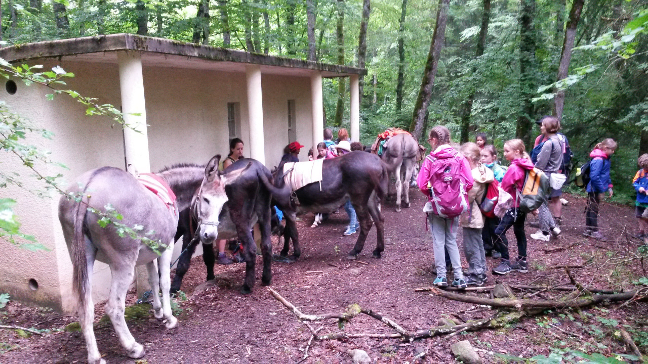 Visite des fours à fer.
